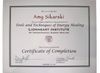 The image depicts a certificate of completion. It includes the following details:

- A title stating it certifies the completion of a course.
- The name "Amy Sikarski" is mentioned as the recipient.
- The certificate indicates that she has successfully completed 72 classroom hours for "Tools and Techniques of Energy Healing."
- It was issued by the "Lionheart Institute of Transpersonal Energy Healing."
- The document includes signatures from Dan Buffo (Instructor) and Dahlyf Herald (Co-Director).
- It is dated September 25, 2011. 

A graphic element, such as a symbol or logo, is also present, typically representing the institute or the course. The certificate is framed within a bordered design.