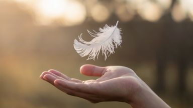 The image depicts a hand reaching out with a delicate white feather suspended above it. The background features a blurred landscape with soft, natural lighting, creating a serene and ethereal atmosphere. The feather appears to be gently falling or floating, emphasizing a sense of lightness and tranquility.