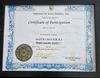 The image depicts a certificate of participation issued by the Institute for Inner Studies, Inc. The certificate states that the individual has satisfactorily completed the Master Choa Kok Sui Pranic Healing Course. It includes decorative elements, a seal or emblem in the center, and is dated the 31st day of November in the year 2001. The certificate is framed and features artistic blue borders.