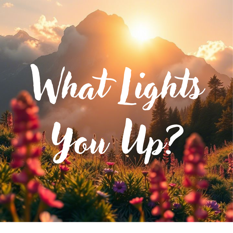 The image depicts a scenic landscape featuring mountains at sunset, with soft light illuminating the scene. In the foreground, there are colorful flowers, mainly in shades of pink and purple, surrounded by green grass. The sky is filled with warm tones, indicating the presence of a rising or setting sun, and there are clouds scattered throughout the sky. The text "What Lights You Up?" is prominently displayed over the image in a stylized font.