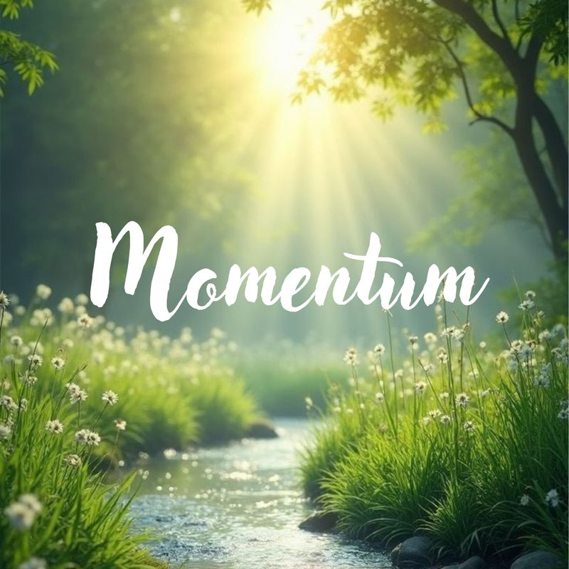 The image depicts a serene natural landscape with a gentle stream flowing through a lush green area. There are tall grasses and small white flowers lining the bank of the stream. Soft sunlight filters through the trees in the background, creating a warm, ethereal glow. The word "Momentum" is overlaid in a stylish font at the center of the image.
