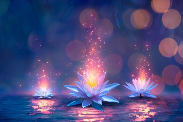 The image features three glowing water lilies floating on a calm body of water. Each lily has soft petals, predominantly in shades of blue and white, with a vibrant yellow center. The background is a blend of dark blues and purples, enhanced by soft, colorful bokeh circles of light. Subtle sparkles emanate from the lilies, creating a mystical and serene atmosphere.