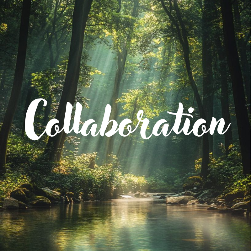 The image depicts a serene forest scene, characterized by tall trees filtering sunlight. Rays of light can be seen shining through the foliage, creating a tranquil atmosphere. In the foreground, a calm river flows, surrounded by lush greenery and smooth stones. The word "Collaboration" is prominently displayed in a stylized font across the image, adding a thematic element to the natural setting.