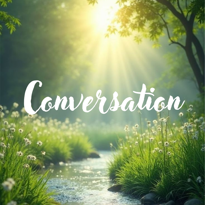 The image depicts a serene natural landscape featuring a stream running through a lush green setting. There are patches of grass and wildflowers on either side of the water. The scene is illuminated by soft sunlight filtering through the trees, creating a tranquil and peaceful atmosphere. Overlaying the image is the word "Conversation" in a stylized font.