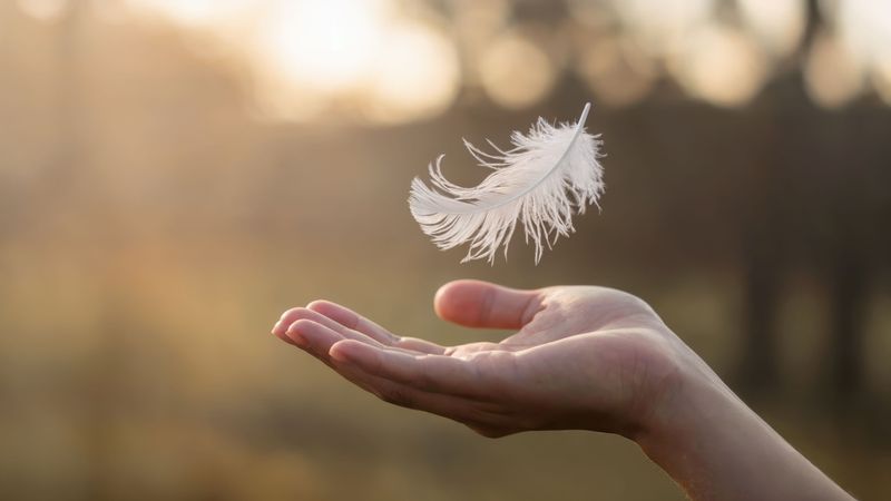 The image shows a hand reaching upward with a soft, white feather floating gently above it. The background features a blurred, natural setting with warm, soft lighting, creating a serene atmosphere.