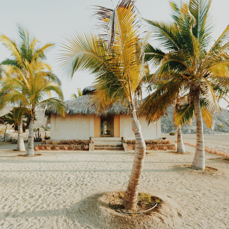 The image depicts a tranquil beach scene featuring a small, thatched-roof hut surrounded by palm trees. The ground is sandy, and there are a couple of palm trees in the foreground. The background shows a beach area, likely near water, with a rocky or hilly landscape in the distance. The overall mood of the scene is serene and tropical, suggesting a relaxed environment.
