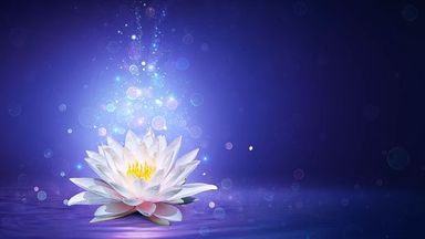 The image depicts a beautiful white lotus flower floating on a serene surface, likely water. The background is a deep blue or purple hue, which contrasts with the flower. There are soft, glowing orbs and sparkles emanating from the flower, creating a dreamy and enchanting atmosphere. The overall composition suggests tranquility and beauty.