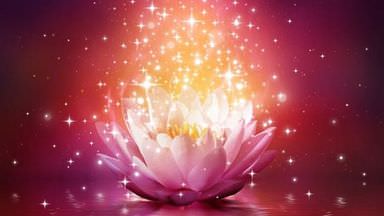 The image features a beautiful pink lotus flower surrounded by a shimmering effect. Sparkling lights and magical particles are radiating upward from the flower, creating a vibrant and ethereal atmosphere. The background is a blend of dark colors, enhancing the luminous quality of the scene. The overall composition evokes a sense of tranquility and enchantment.