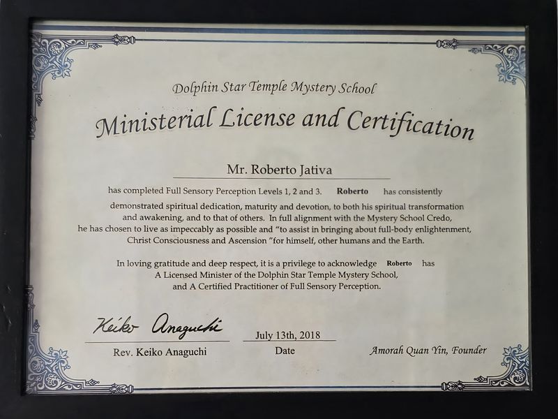 Pleiadian Energy Reading and Healing Levels 1, 2 and 3